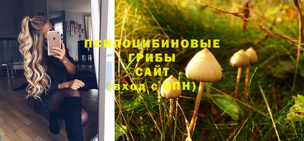 амф Алзамай