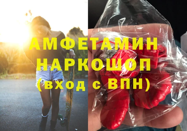 гидра Алексин