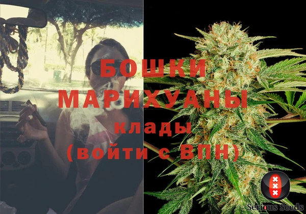 гидра Алексин