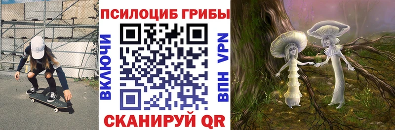 Псилоцибиновые грибы GOLDEN TEACHER  Подольск 