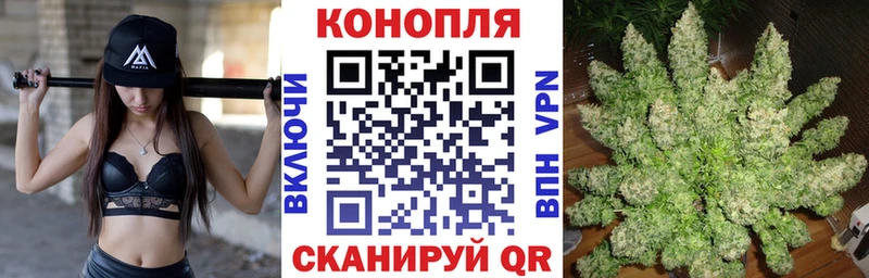 Бошки марихуана ГИДРОПОН  Подольск 